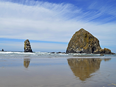 NVS : Shellfish Growers